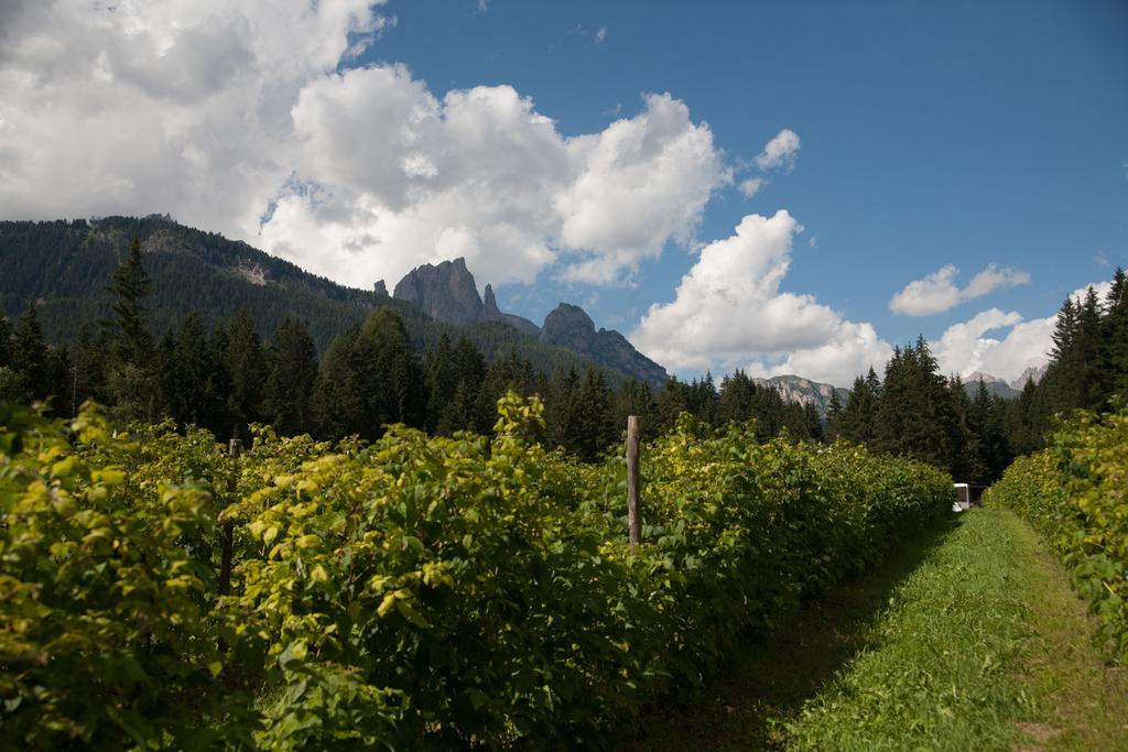 Agriturismo Soreie - Farmstay Vigo di Fassa Eksteriør bilde